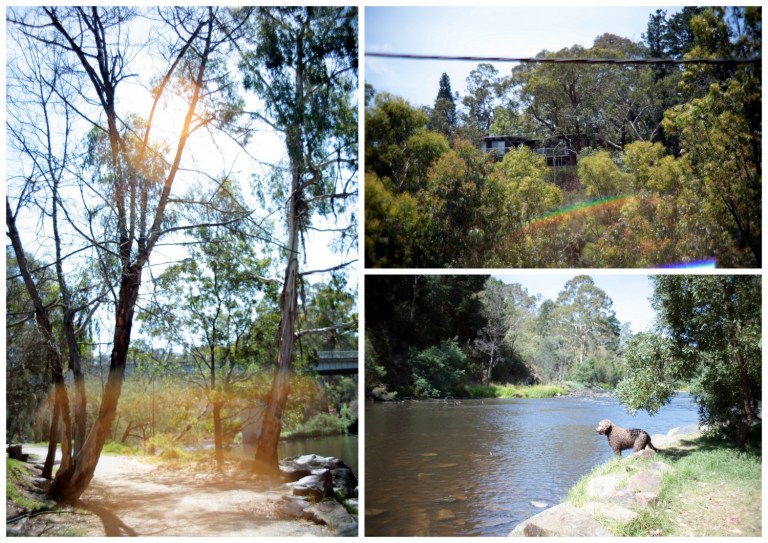 warrandyte, victoria