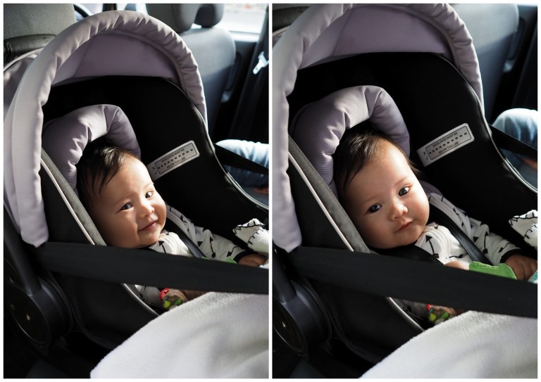 cheese and wine food truck festival, preston