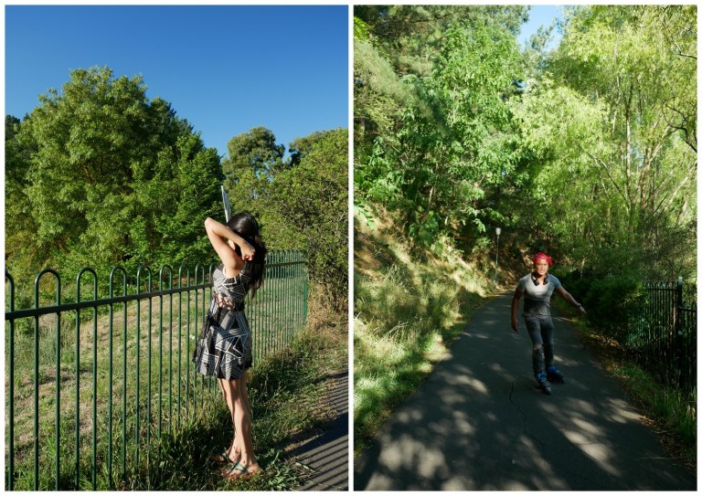 wilson botanic park berwick