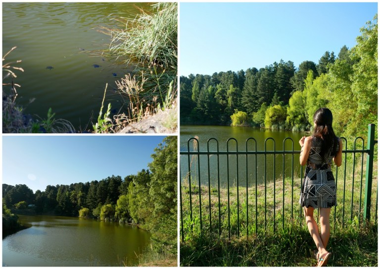 wilson botanic park berwick