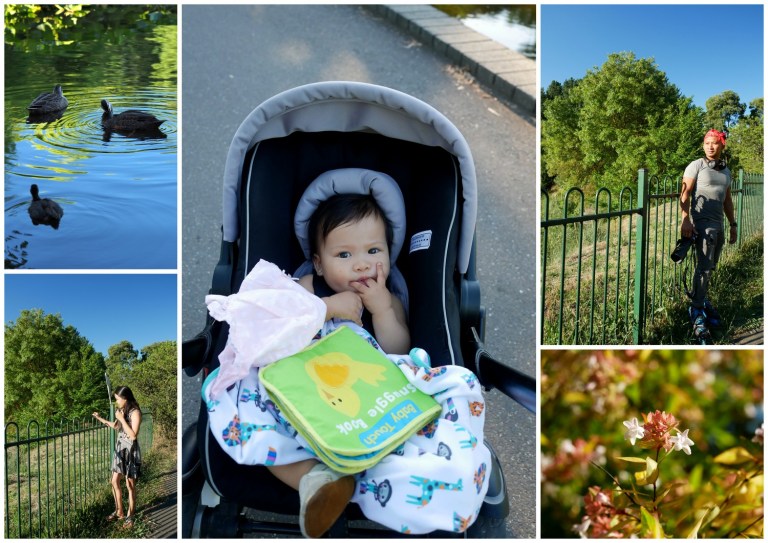 wilson botanic park berwick