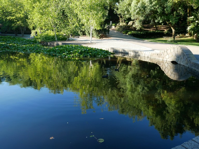 wilson botanic park berwick