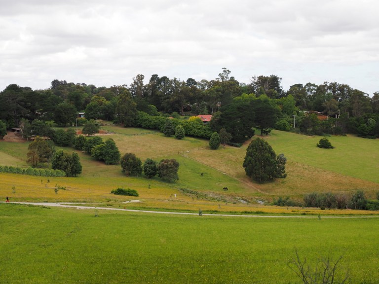 puffing billy railway