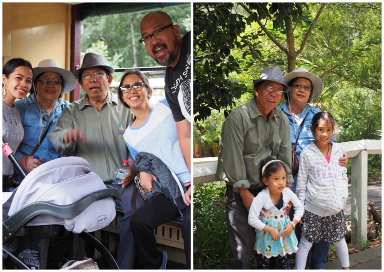 puffing billy railway