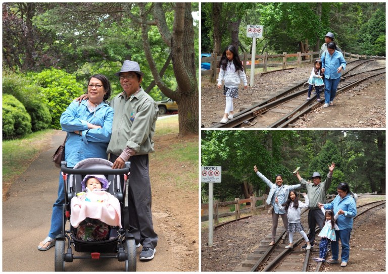 puffing billy railway
