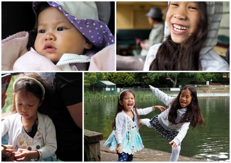 puffing billy railway