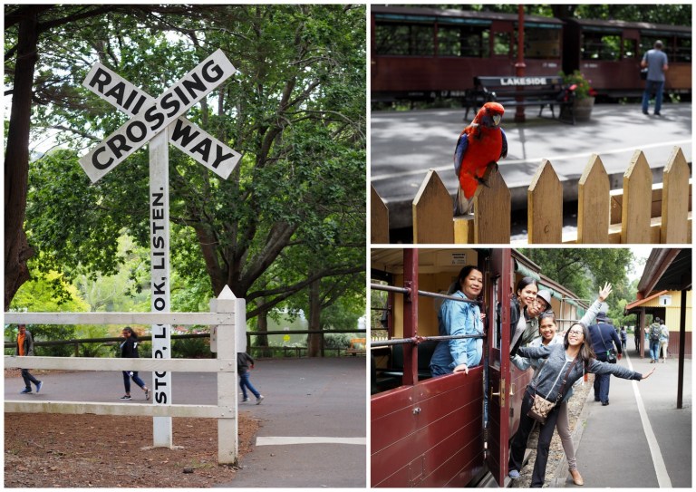 puffing billy railway