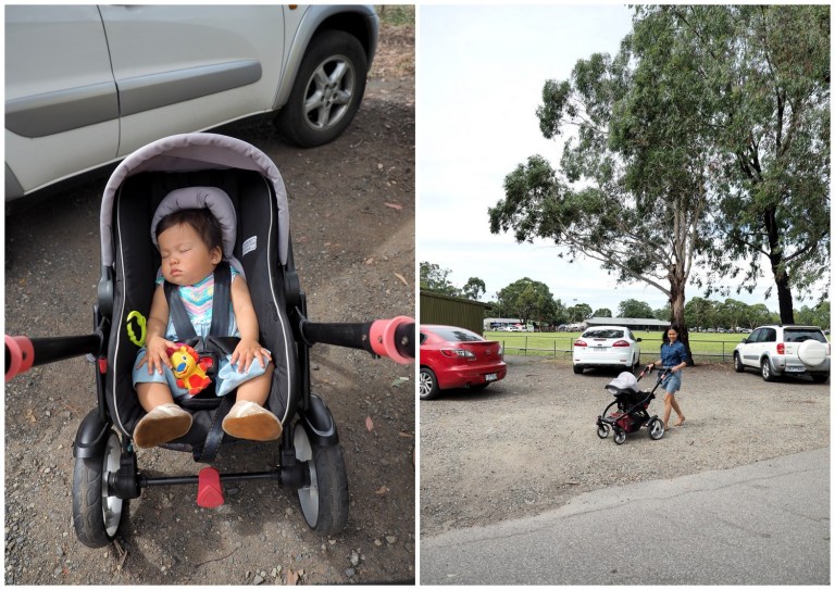 berwick sunday market