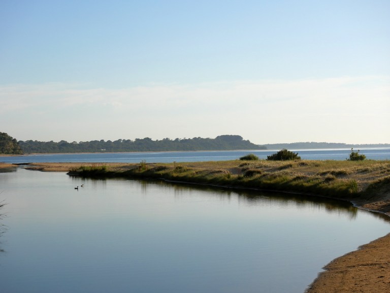 point leo foreshore reserve