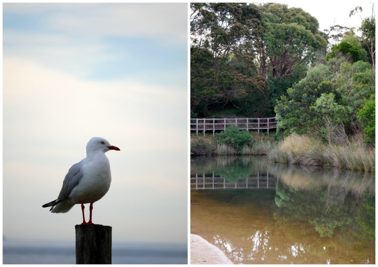 point leo foreshore reserve