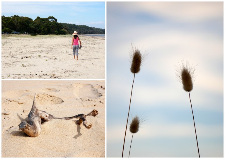 point leo foreshore reserve