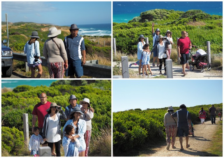 the twelve apostles, victoria, australia