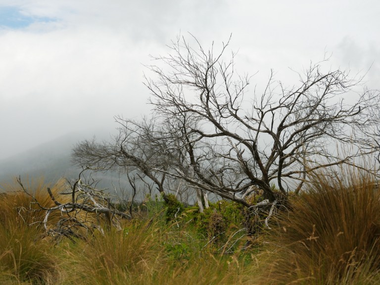 wilsons promontory, victoria, australia
