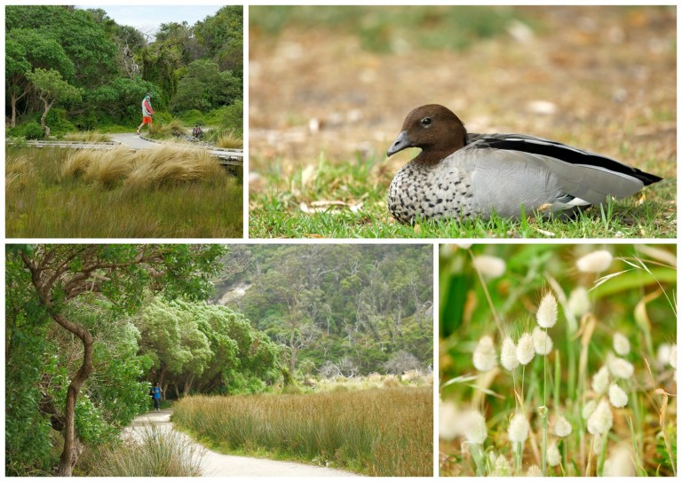 wilsons promontory, victoria, australia