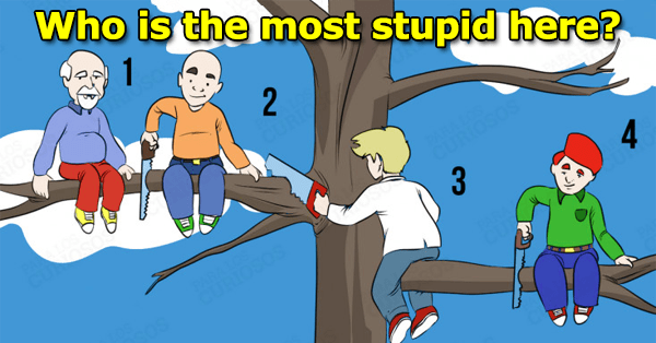 the most stupid personality test
