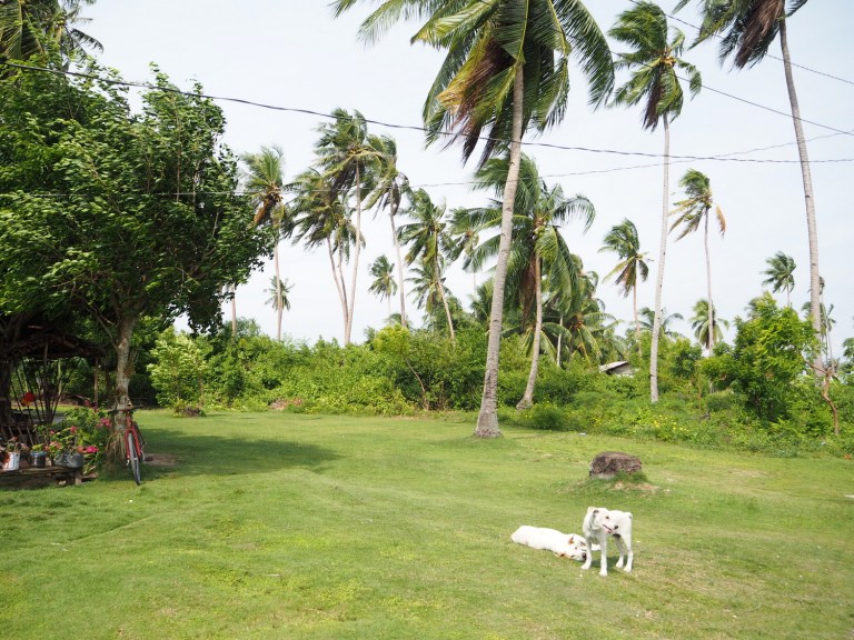 panggangan island, bohol, philippines