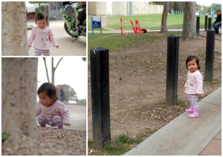 fountain gate, narre warren