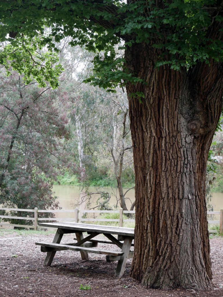 yarra bend park, melbourne, victoria
