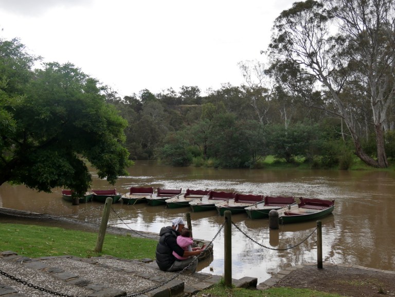 yarra bend park, melbourne, victoria, australia