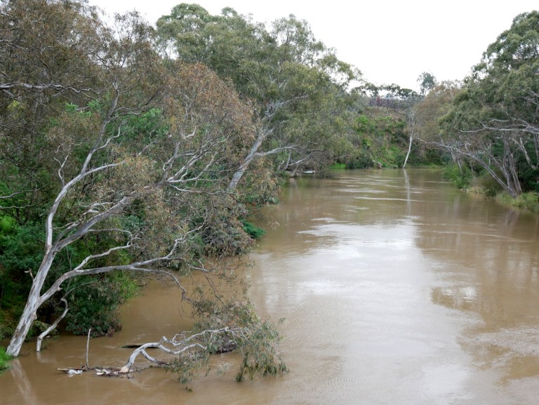 yarra bend park, melbourne, victoria