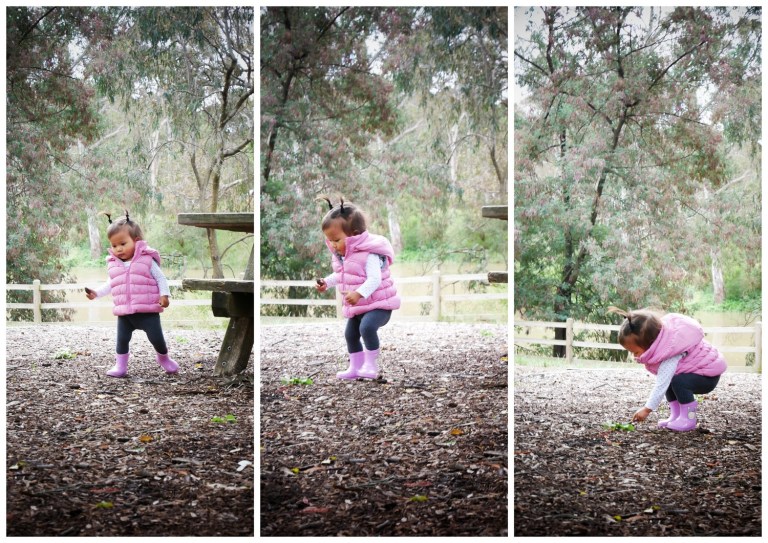 yarra bend park, melbourne, victoria, australia