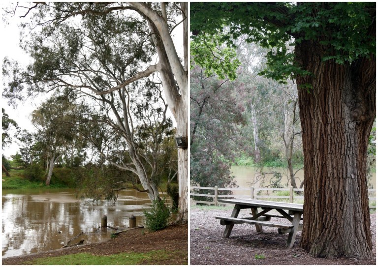 yarra bend park, melbourne, victoria, australia