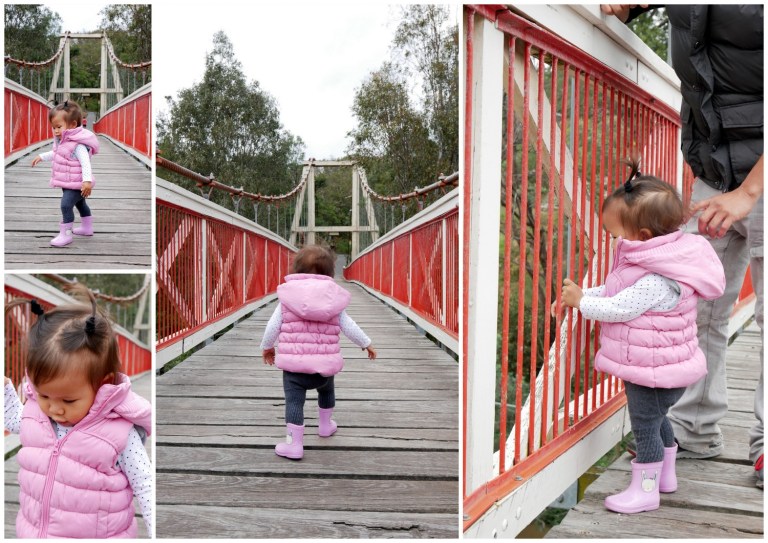 yarra bend park, melbourne, victoria, australia