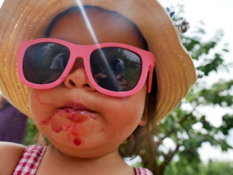fairview hill cherry farm, wandin east, victoria, australia
