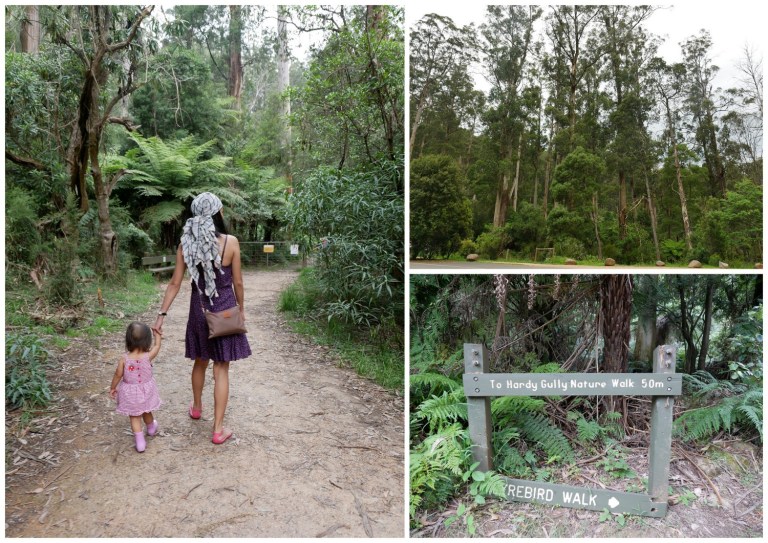 grants on sherbrooke, kallista, victoria, australia