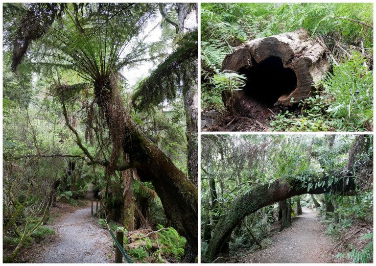 grants on sherbrooke, kallista, victoria, australia