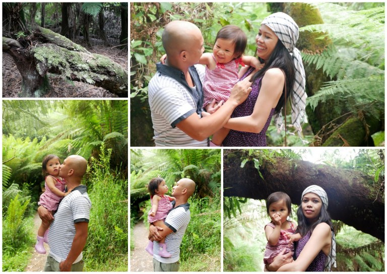 grants on sherbrooke, kallista, victoria, australia