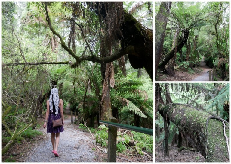 grants on sherbrooke, kallista, victoria, australia