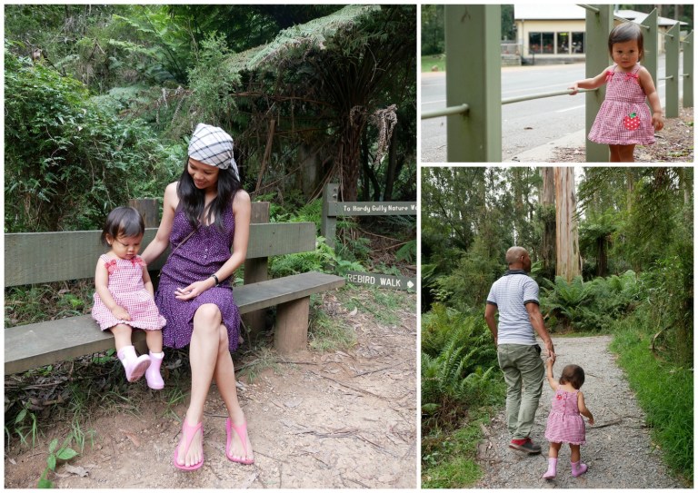 grants on sherbrooke, kallista, victoria, australia