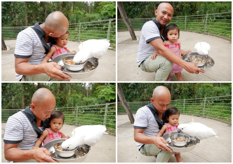 grants on sherbrooke, kallista, victoria, australia