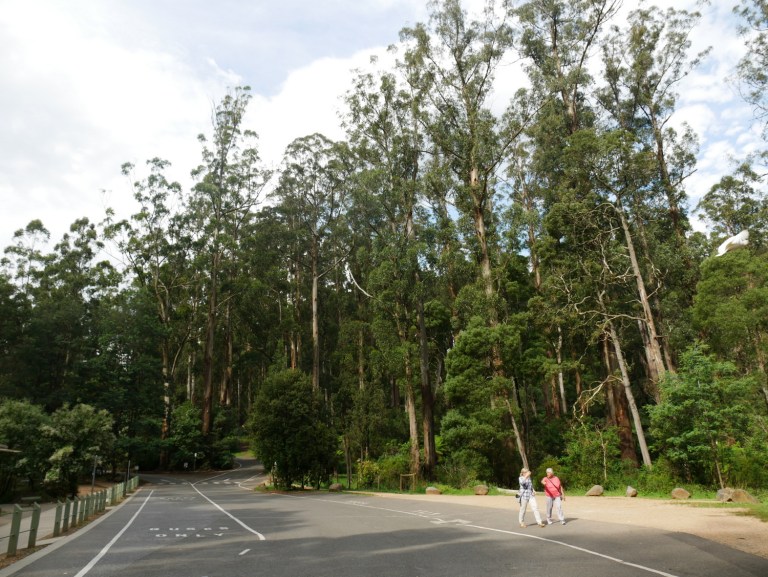 grants on sherbrooke, kallista, victoria, australia