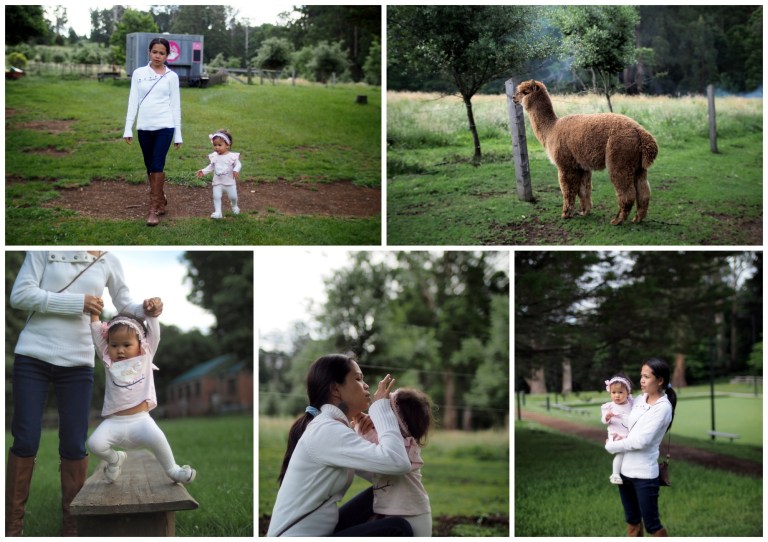 piggery cafe, sherbrooke, victoria