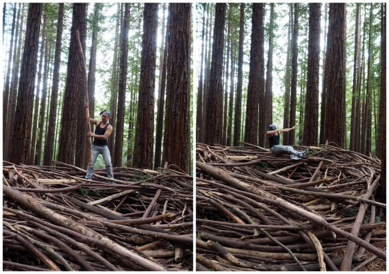 redwood forest, warburton, victoria, australia