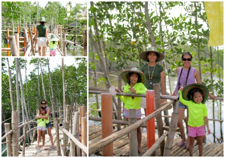 omagieca obo-ob mangrove garden, bantayan island, cebu