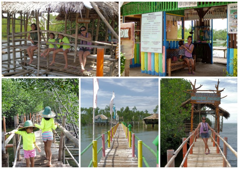 omagieca obo-ob mangrove garden, bantayan island, cebu