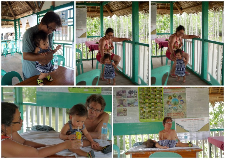 omagieca obo-ob mangrove garden, bantayan island, cebu