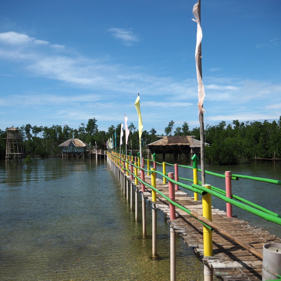 omagieca obo-ob mangrove garden, bantayan island, cebu