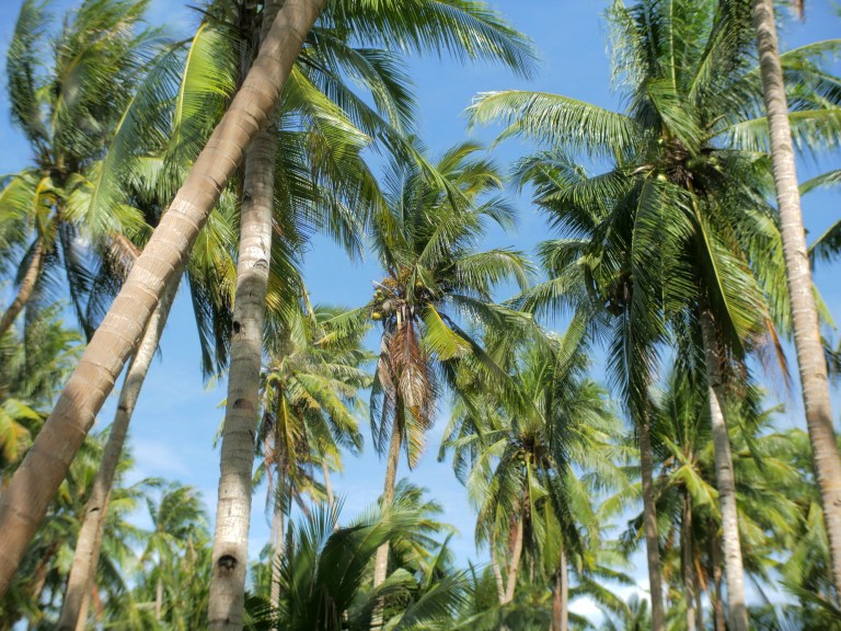 bantayan island, cebu, philippines