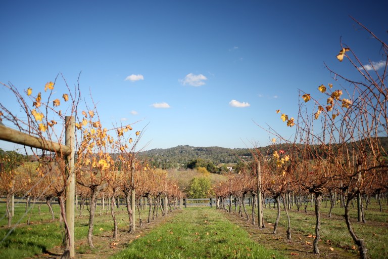 vue on halcyon, chirnside park