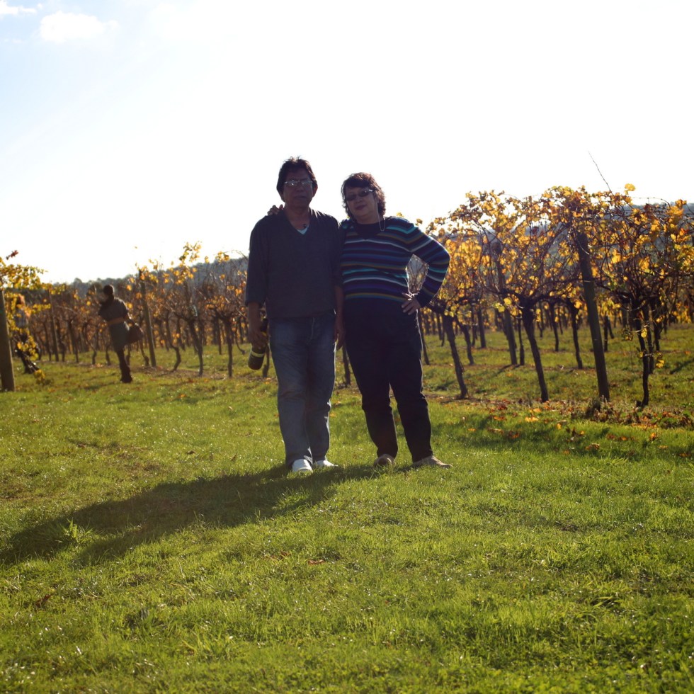 vue on halcyon, chirnside park