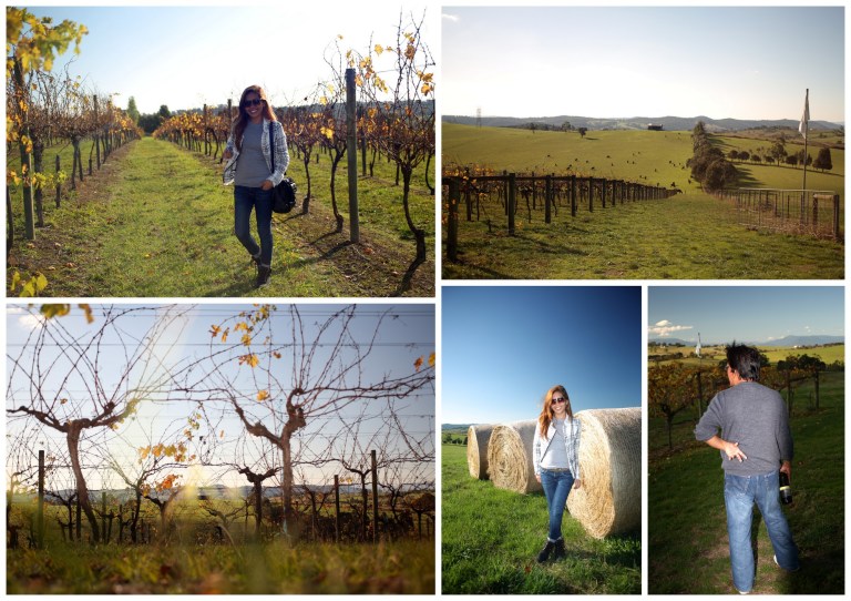 vue on halcyon, chirnside park