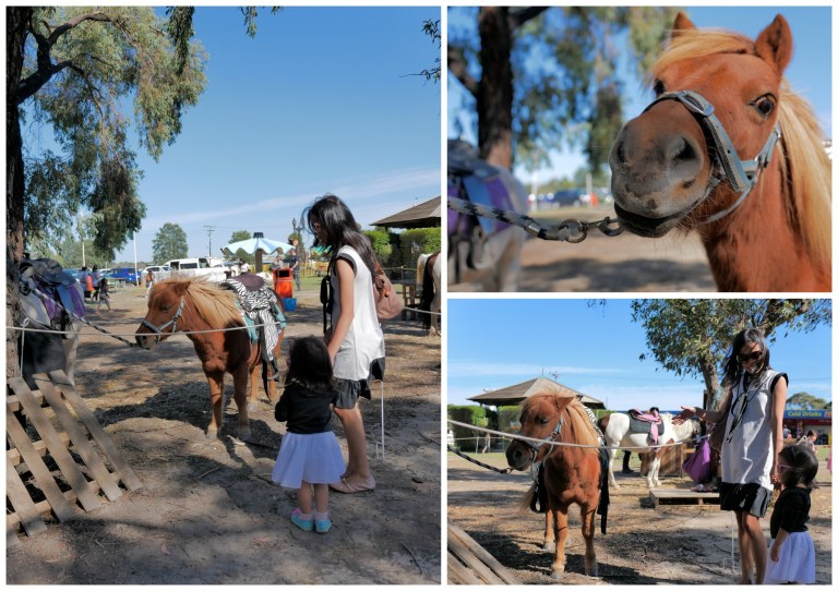 caribbean gardens and market, scoresby