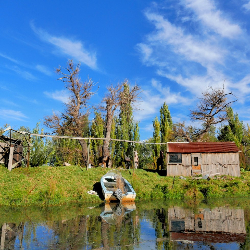 caribbean gardens and market, scoresby