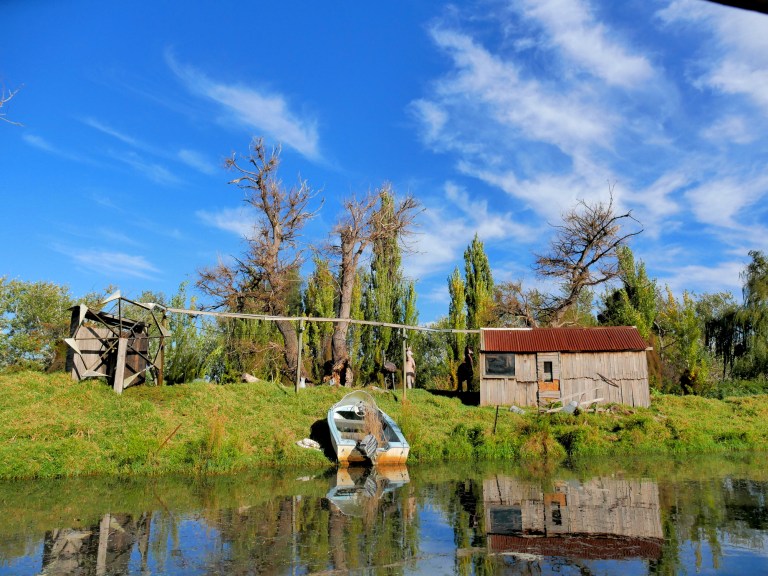 caribbean gardens and market, scoresby