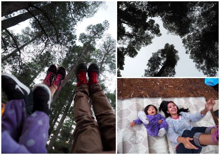plantation campground, halls gap, victoria, australia