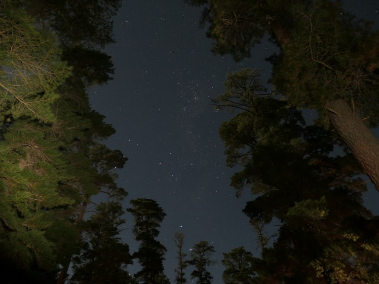 plantation campground, halls gap, victoria, australia